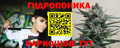 мдма Кохма
