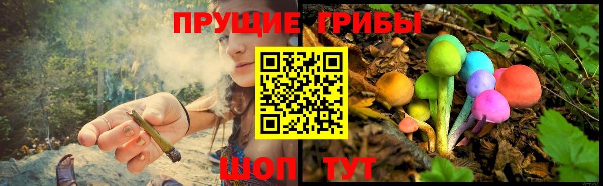 Псилоцибиновые грибы мицелий  Галлюциногенные грибы MAGIC MUSHROOMS  закладка  Вход с VPN  Десногорск 